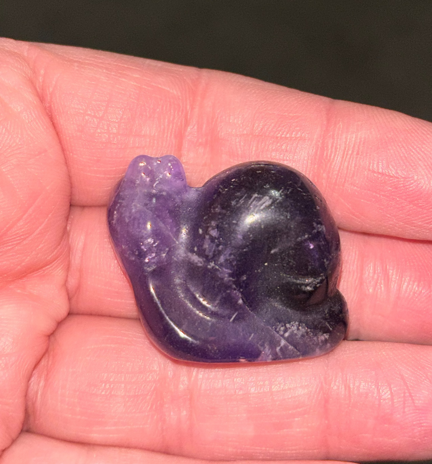 Fluorite snail