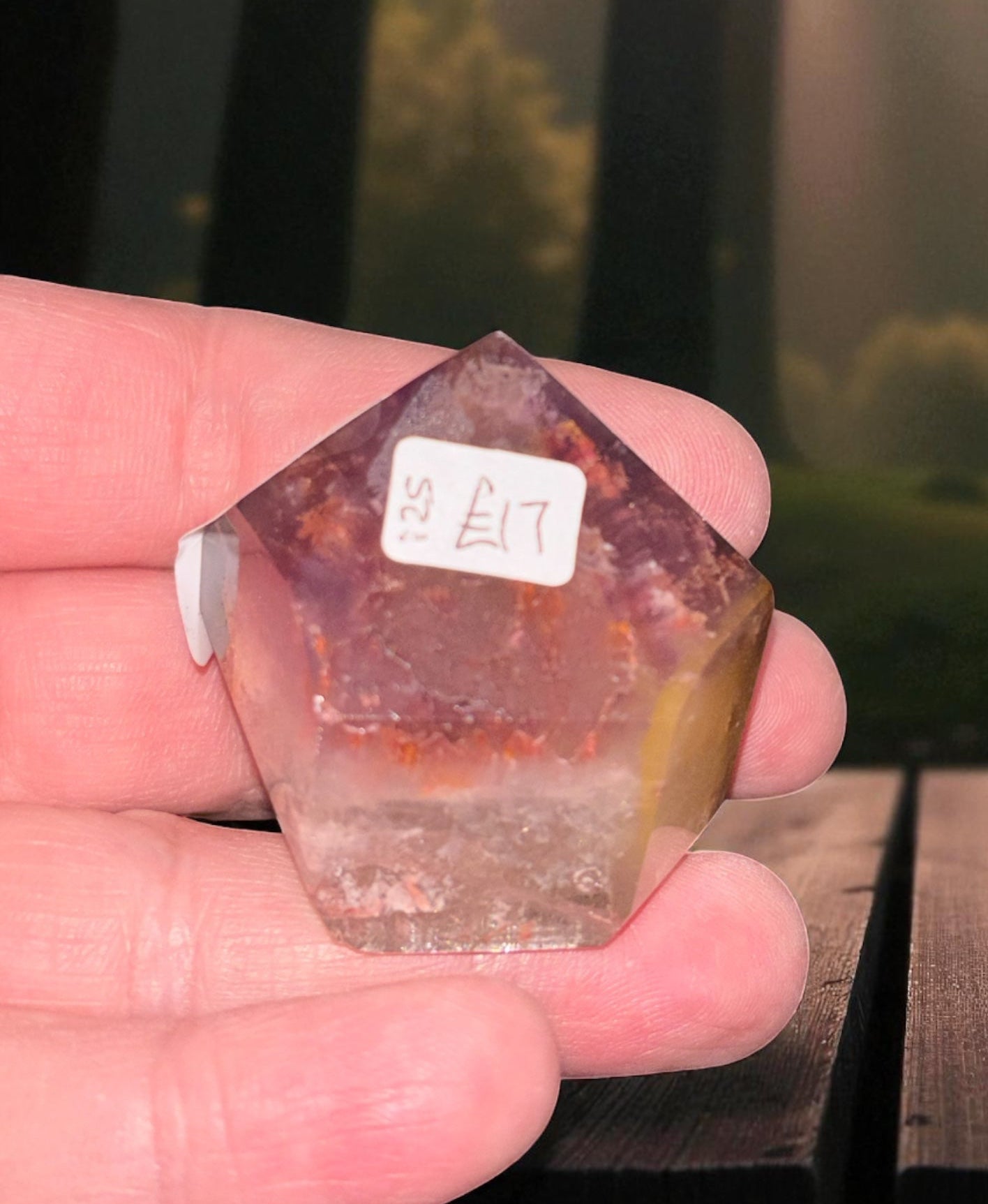 Dreamcoat amethyst Freeform